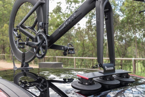 frog bike rack
