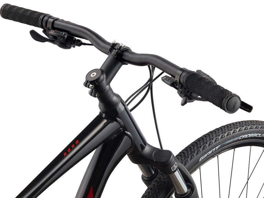 2021 Giant Roam 4 Disc Mountain Bike 