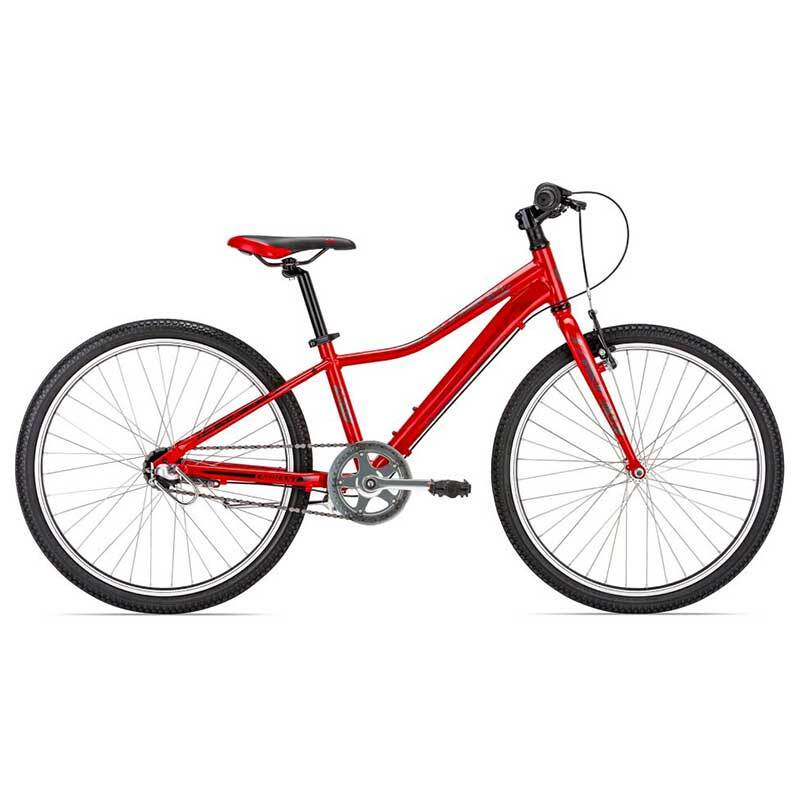 giant liv 24 inch bike