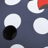Polka Dot