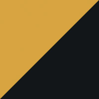 Gold/Black