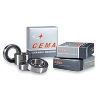 Cema Sealed Hub Bearing - 17287LLB Hybrid Ceramic
