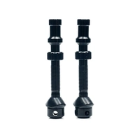 Stans No Tubes Universal+ Tubeless Valve Pair Black
