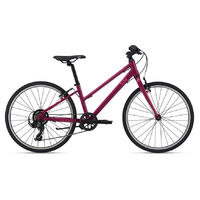 2022 Liv Alight 24 Girl's Bike