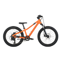 Scott Roxter 200 Kids 20" MTB