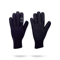 BBB Neoshield BWG-26 Winter Gloves
