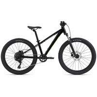 Giant STP 24 Kids Mountain Bike