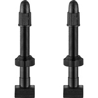 Giant Lightweight Tubeless Valve Stems Pair