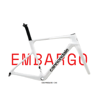 2026 Cannondale SuperSix Evo Frameset