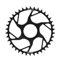 SRAM T-Type Direct Mount Chainring for Avinox M2 - 38T