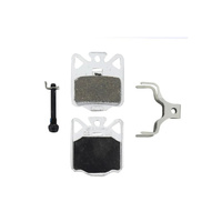 Campagnolo Disc Brake Pads Super Record Wireless