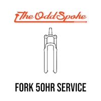 Fork Lower Leg 50 hour Service - Fox/Rockshox