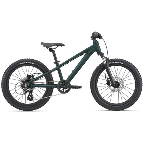 giant stp 20