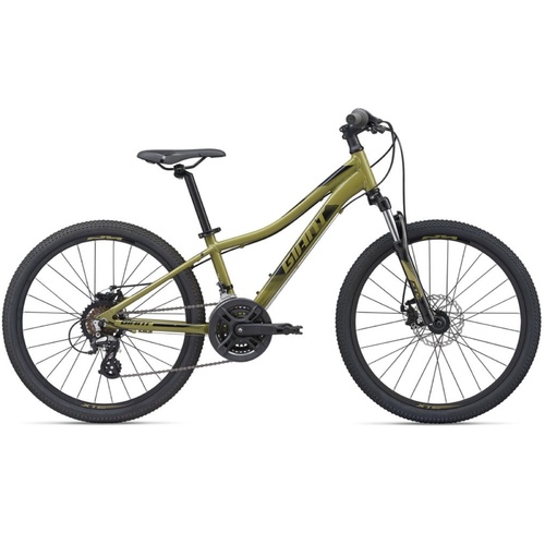 2020 Giant XTC JR 24 Disc Kids Bike