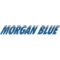 Buy Morgan Blue Bio Bike Cleaner